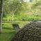 Villa Darakorn Hill Country House