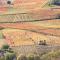 La Ferme Berger