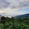 Le Hameau du Morne des Cadets