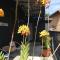 Wogoxette Upstairs, A Private Kampung Stay In Cameron Highlands