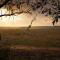 Merino Stal Guest Farm - Ermelo