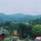 Forest Guesthouse