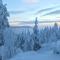 Vuokraruka
