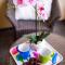 Apartman Niki