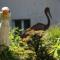 Berghotel Hohe Mark
