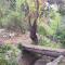 His Vessel Guesthouse Clarens FS