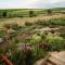 Vineyard Views Country House - Riebeek-Kasteel