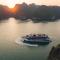 Rosy Cruises