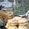 Nautique Beach House - Rustic and Charming, Walk 2 Beach & Shops
