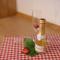 Appartement Mayrhofer - Ferienwohnungen