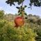 Agroturisme Perola - Only Adults