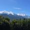 Fizhome Mt Blanc - 帕西