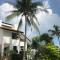 Wild Palms
