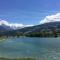 Fizhome Mt Blanc