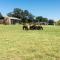 Witzenberg Guest Farm - Wolseley