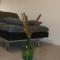 Baires Apartamento