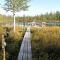 Holiday Home Koppelokangas by Interhome - Kivitaipale