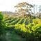 Brenaissance Wine & Stud Estate