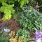 Dragonflycottagebnb - Grovetown