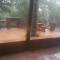Marlothii Safari House