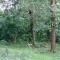 Wild Window - Forest View Homestay - Теккади
