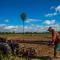 Siem Reap Homesteading