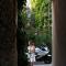 Sinti photo 17