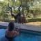Kruger Willows