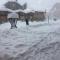 Avoriaz le M1212