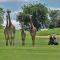 Zebula 8 Bedroom Lodge – IV1
