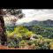 Madari Hills Health Retreat