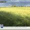 Morndyke Shepherds Huts - Thirsk