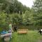 KNAUS Campingpark Walkenried - Walkenried