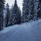 Chalet Waldperle