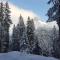 Chalet Waldperle