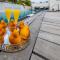 Posh South Beach