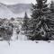 Les Flocons de Neige - 布齐耶比利牛斯2000