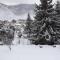 Les Flocons de Neige - Bolquere Pyrenees 2000