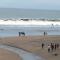 Sabas Beach Resort
