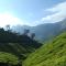 Holiday Heaven Munnar