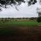 Honey Lodge