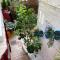 Comfortable renovated flat, WiFi!