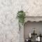 Il Giuelìn Malpensa B&B