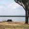 Kasenyi Lake Retreat Lodges & Campsite