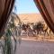 Arena Desert Camp & Adventurers
