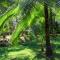 The Green Jungle