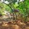 Antipolo Rizal -Tent Site-Forest Camp Adventure-with Hike & Climb - Antipolo
