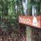 Glamping con sentido