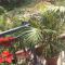 Bishnu Homestay