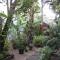 Alleppey Beach Garden